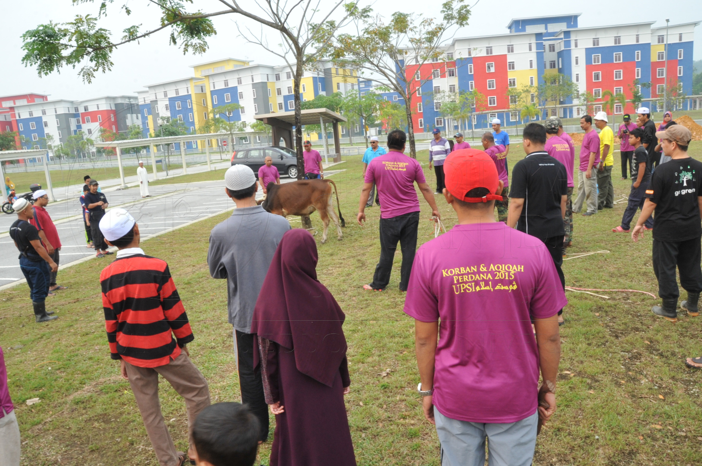 PRO15 150 KORBAN HAS 6726